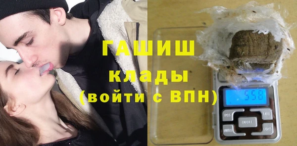 спиды Богородицк