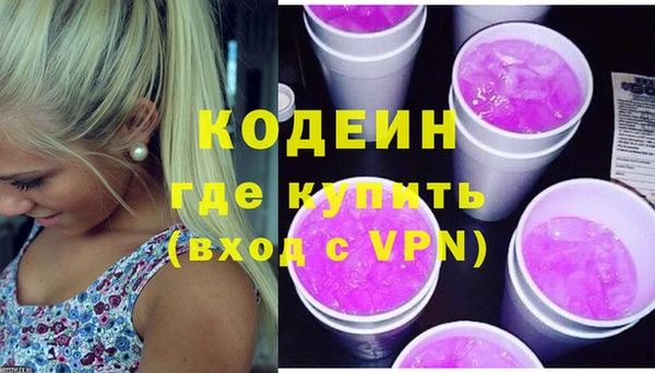 спиды Богородицк