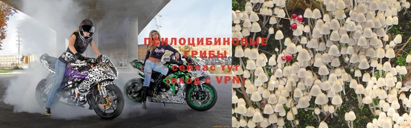 спиды Богородицк